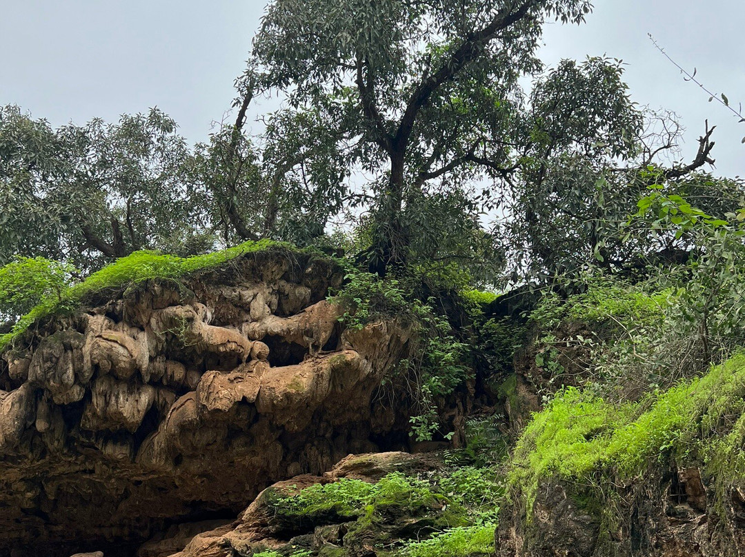Ayn Sahalnoot-塞拉莱必去景点