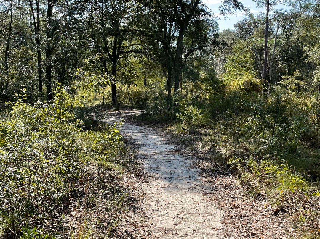 Reed Bingham State Park-Adel必去景点