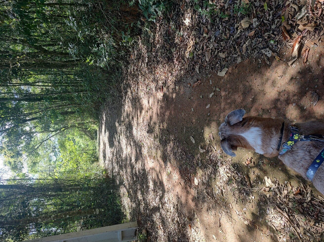 Pico dos Cabritos ecologic park-Extrema必去景点