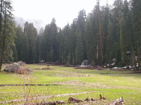 Crescent Meadow Loop-红杉&国王峡谷国家公园必去景点