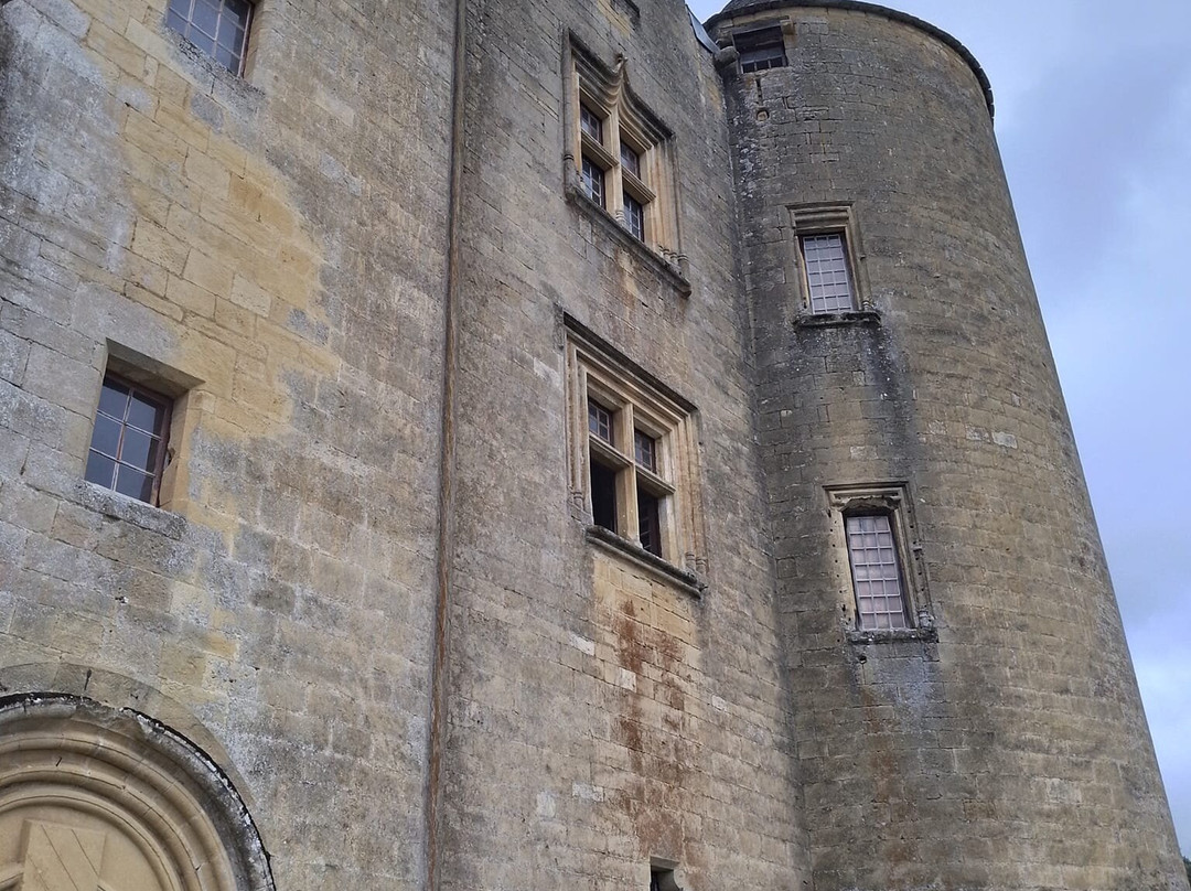 Château de Salignac景点图片