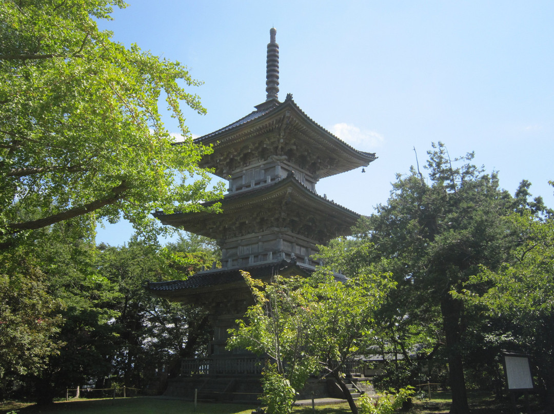 Gochi Kokubunji Temple景点图片