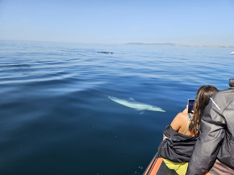 Feathers & Scales-里斯本必去景点