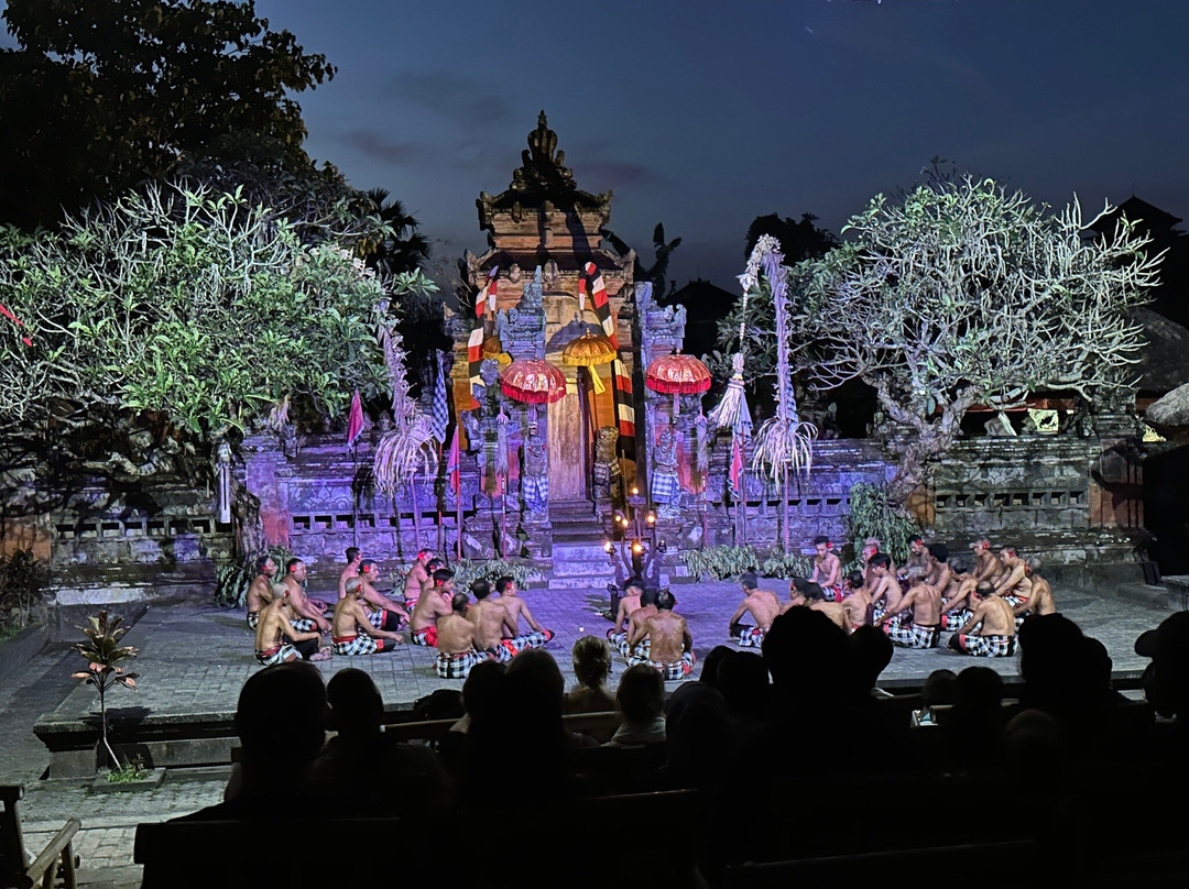 VIC Tour And Transport-乌布必去景点