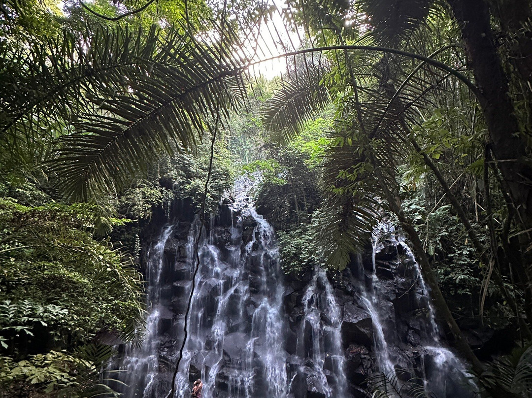 VIC Tour And Transport-乌布必去景点