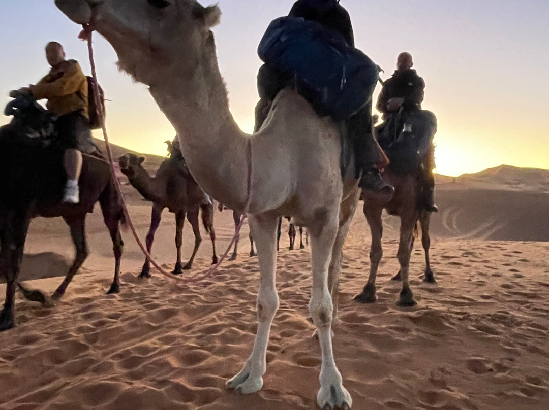 Active Treks Morocco-马拉喀什必去景点