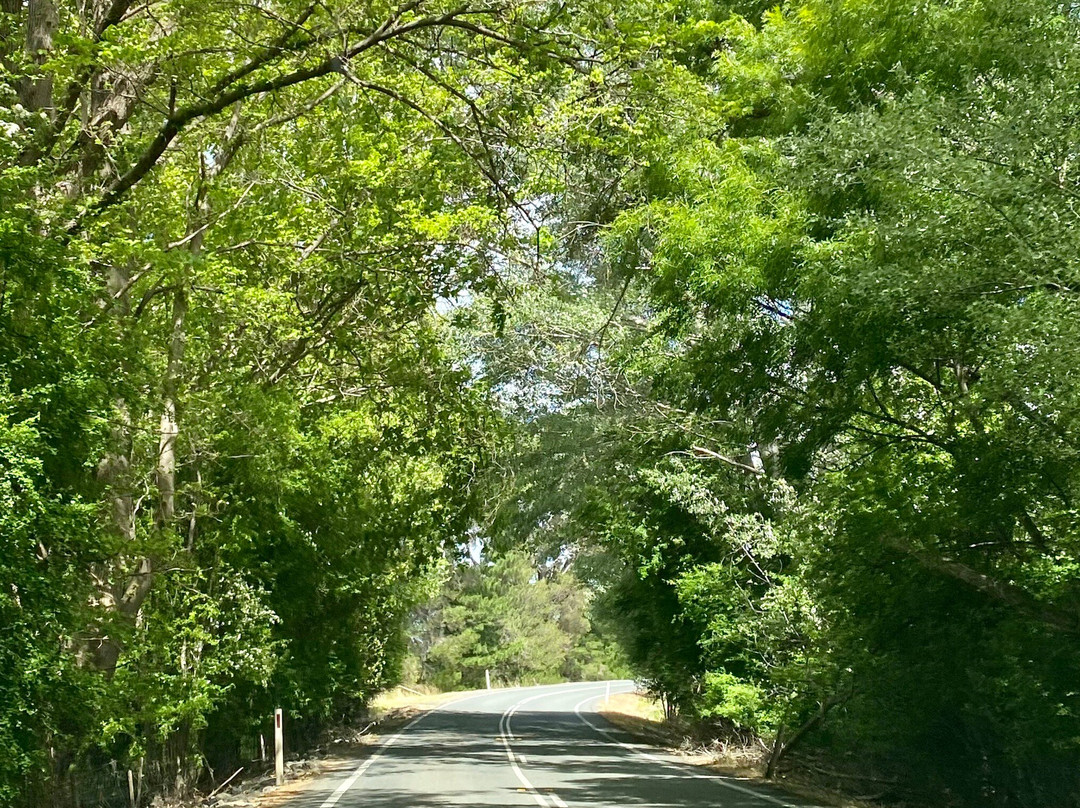 斯旺西滑铁卢旅馆主图