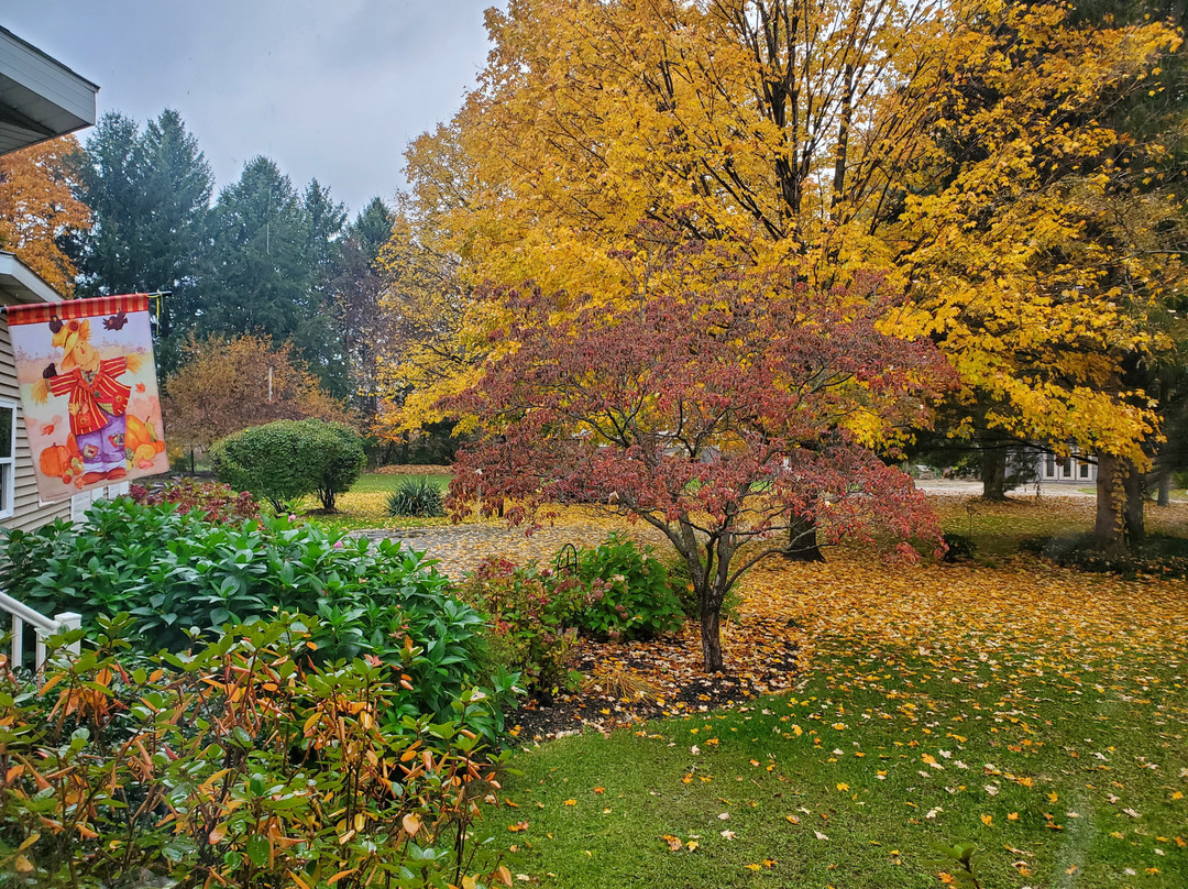 Black River Inn B&B主图