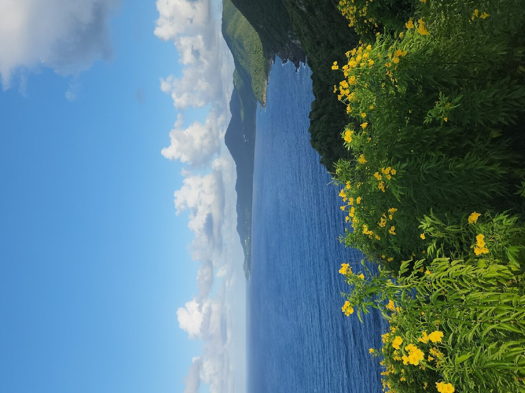 Hams Bluff Lighthouse-圣克鲁斯必去景点