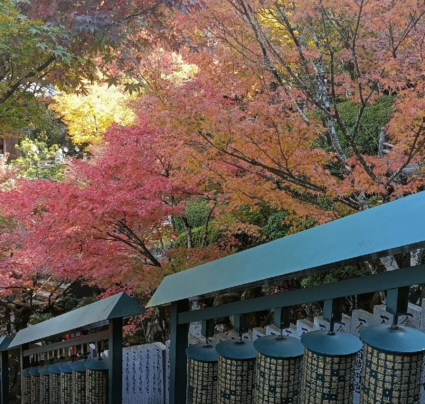 Daisho-in Temple-四日市市必去景点