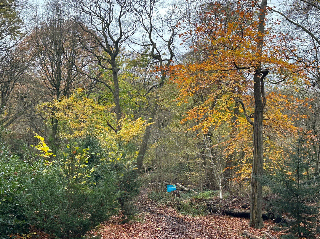 Golden Acre Park-利兹必去景点