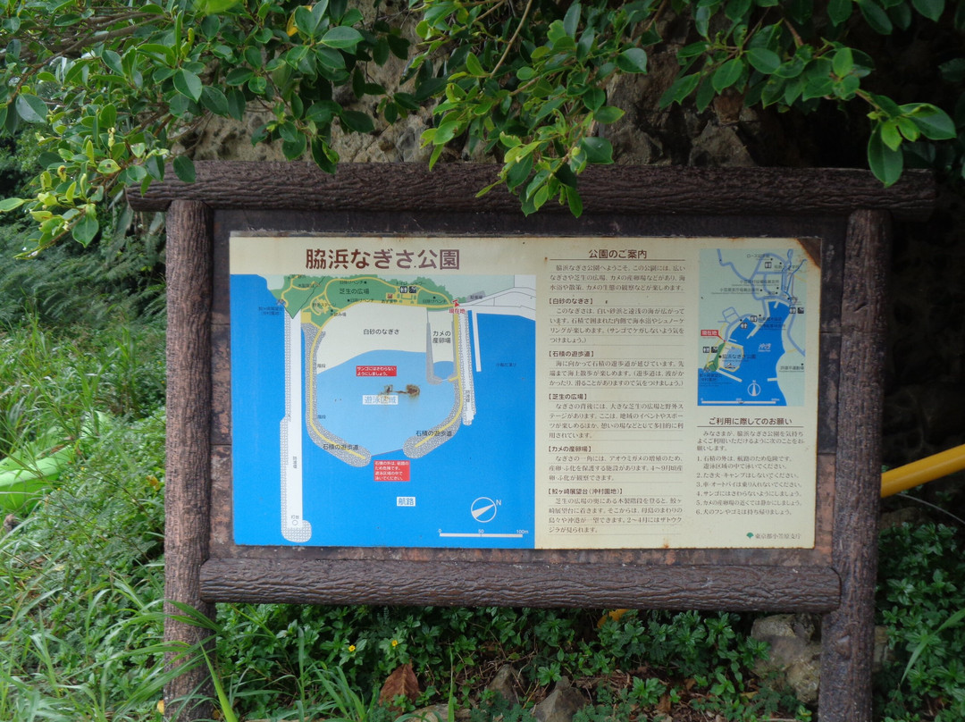 Wakihama Nagisa Park-小笠原村必去景点