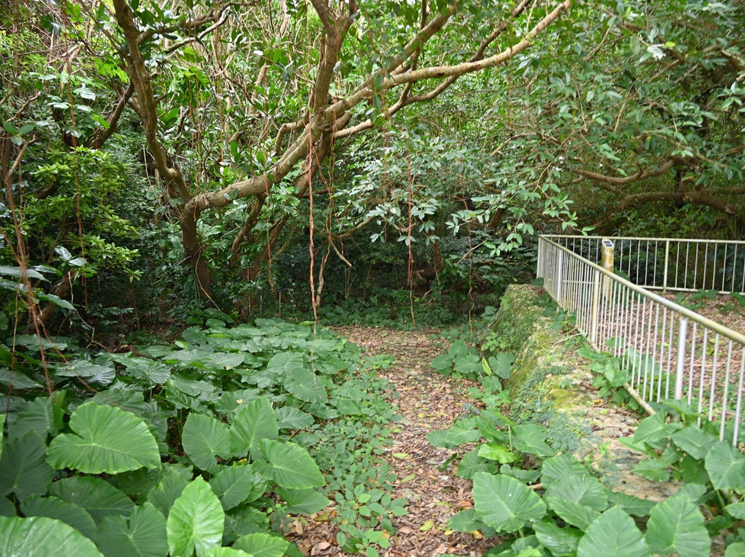 Shugaga-多良间村必去景点