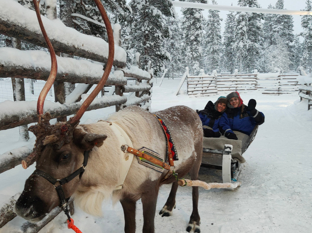 Saariselka Reindeer Farm-撒利塞卡必去景点
