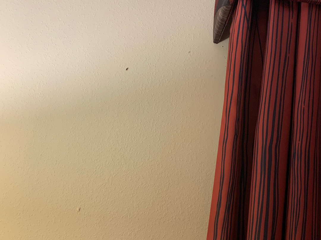 Hampton Inn Ottumwa主图