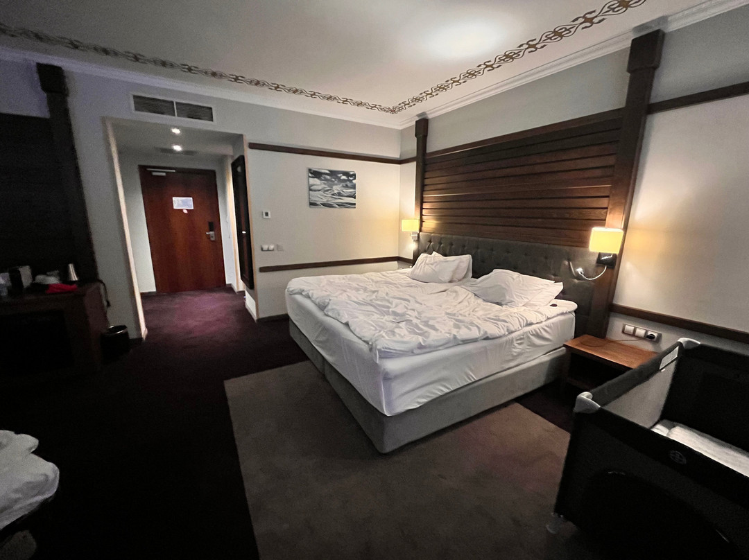 Hot Springs Medical & Spa Hotel主图