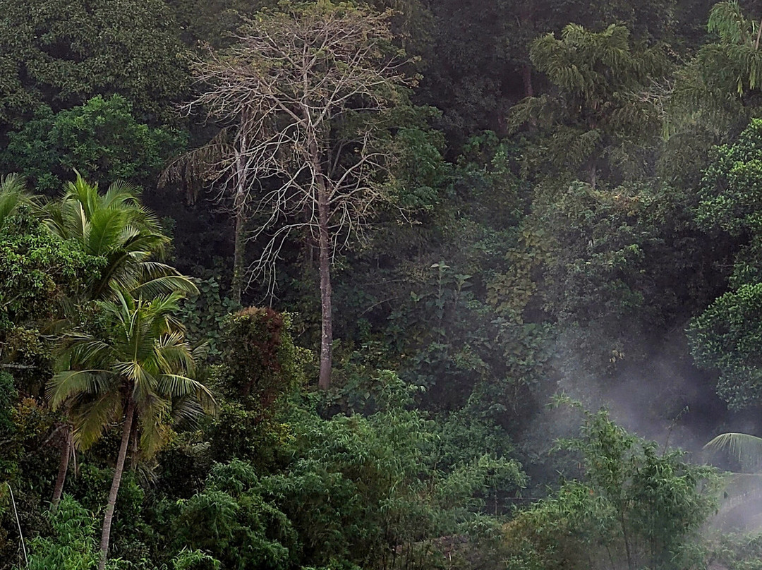 Sterling Karwar主图