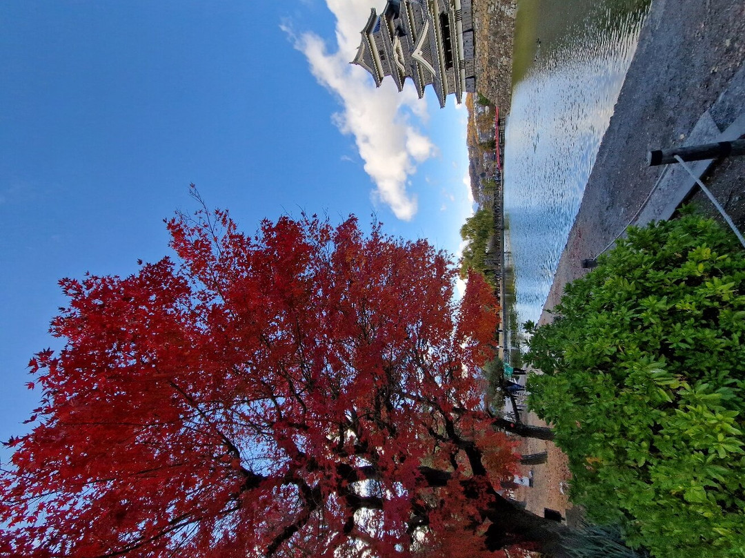 Matsumotojo Park景点图片