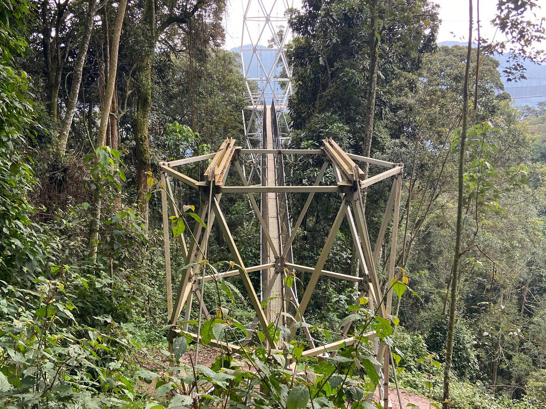 Gorilla Highlands-卡巴莱必去景点