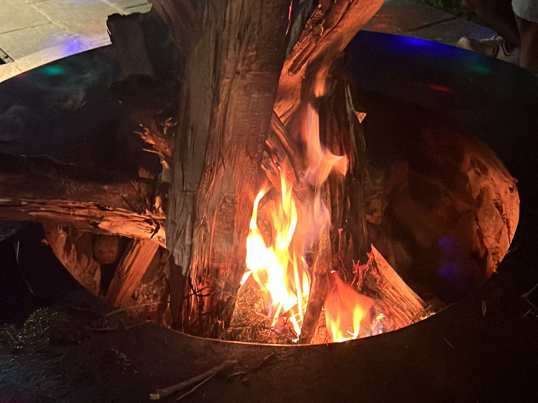 Adrak Mountain Mist Forest Resort主图