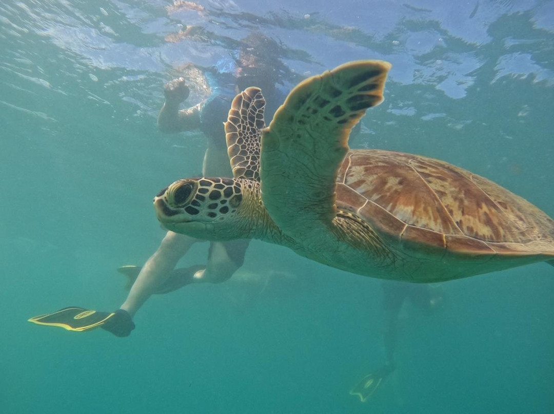 Try Scuba Diving-圣胡安必去景点