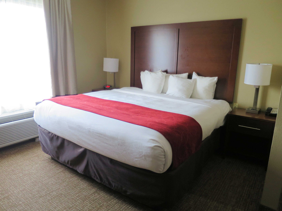 Comfort Suites主图