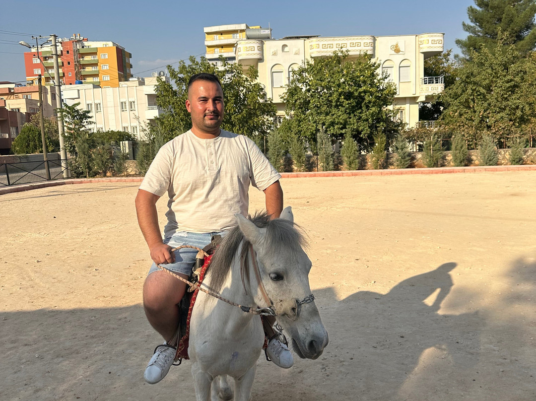 Midyatta bahcamatite atciftligi-Kiziltepe必去景点