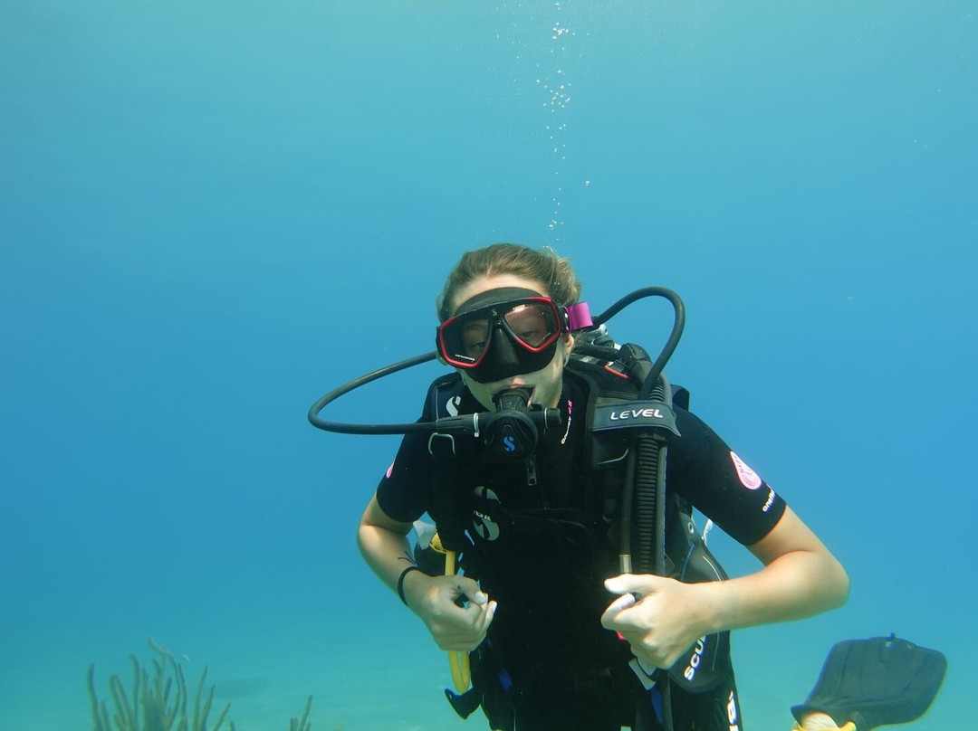 Tropicalsub Diving-Deshaies必去景点