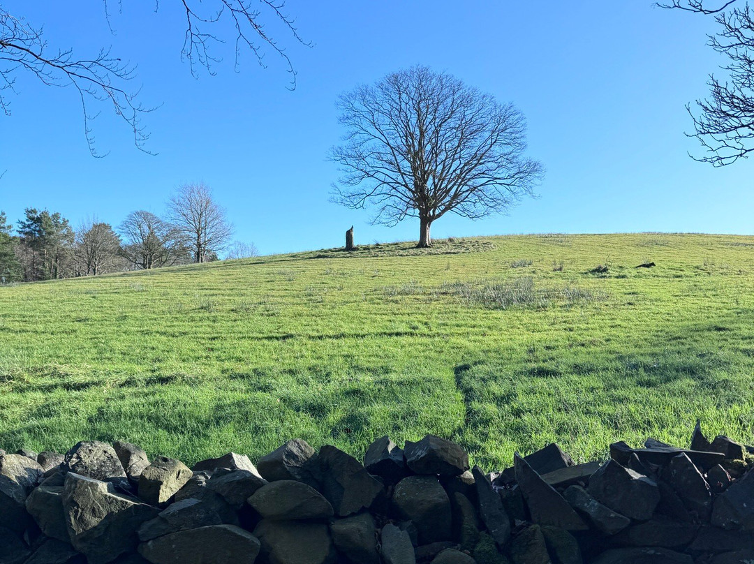 Rowallane Garden-Saintfield必去景点