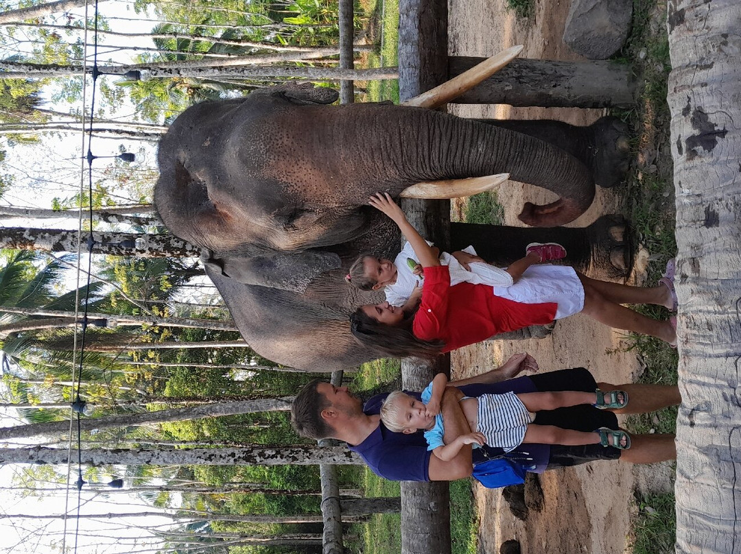 Coconut Elephant Camp Khaolak景点图片