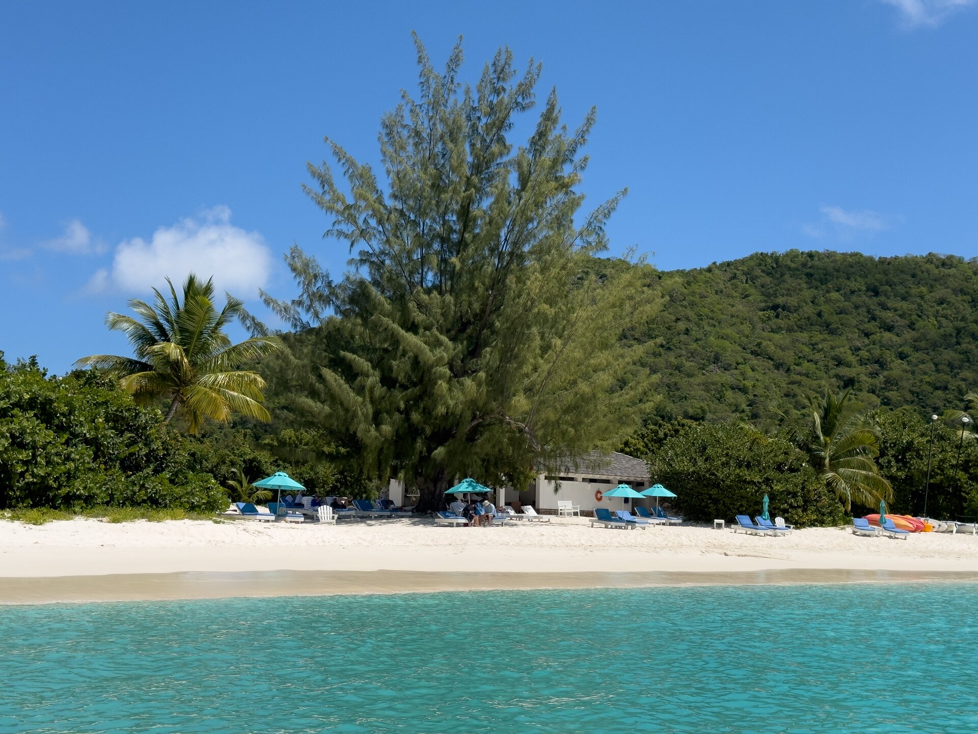 Guana Island-浴室