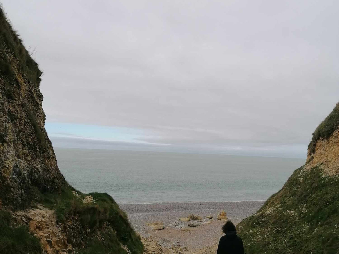 Plage Du Tilleul景点图片