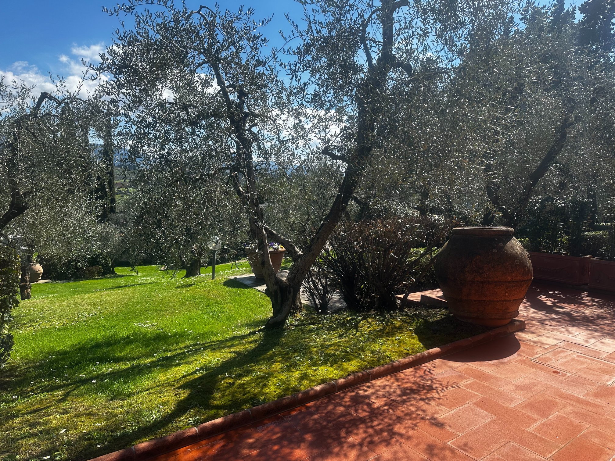 Agriturismo Vecchio Borgo di Inalbi-酒店景观