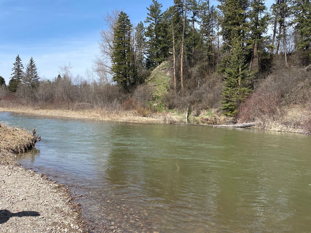 Lawrence Park-卡利斯佩尔必去景点