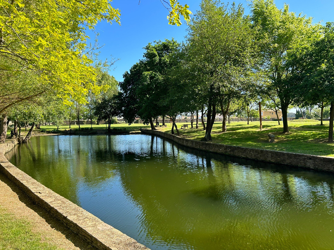 Casa Museu Egas Moniz景点图片