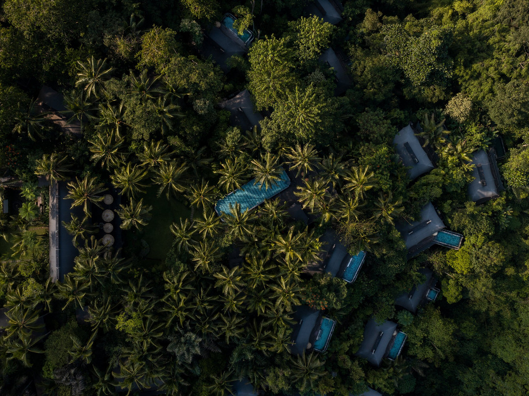 Capella Ubud, Bali主图