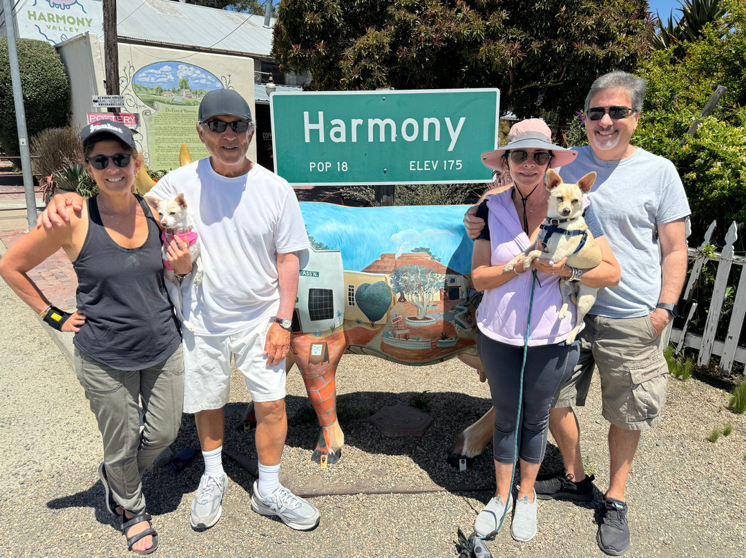 Harmony Headlands State Park景点图片