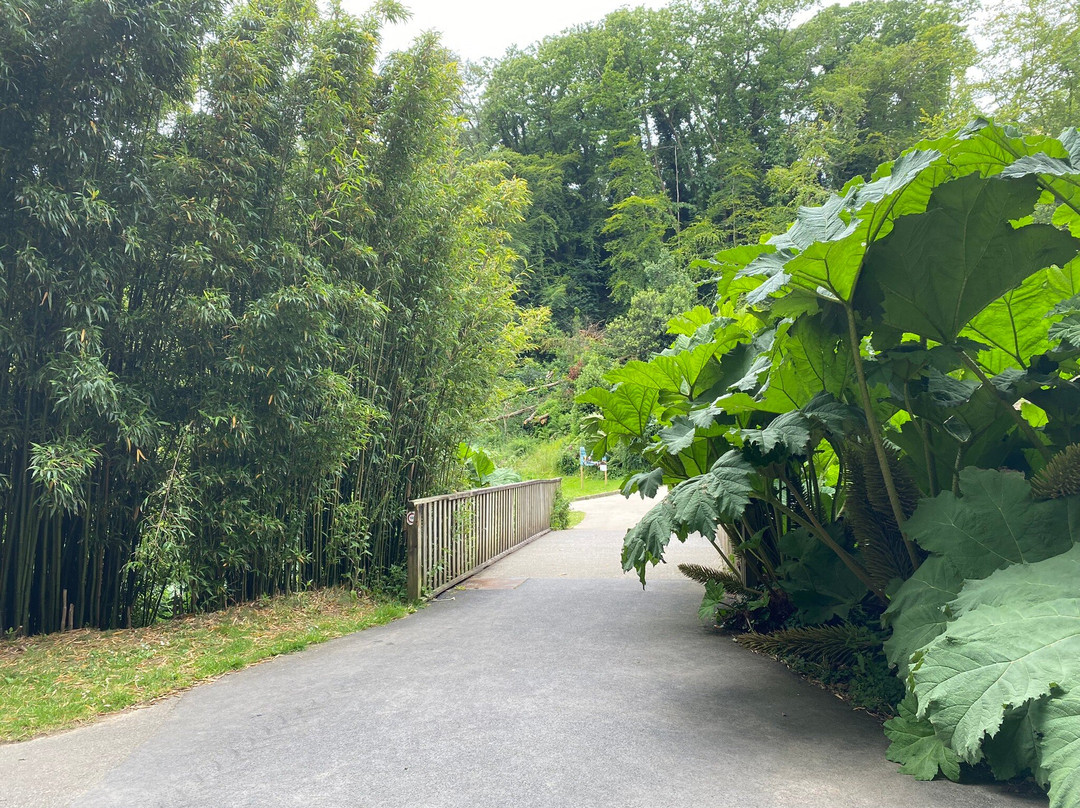 Jardin du Conservatoire Botanique National de Brest景点图片