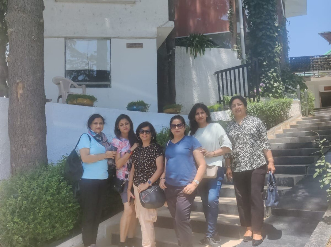 Treehouse Chail Villas