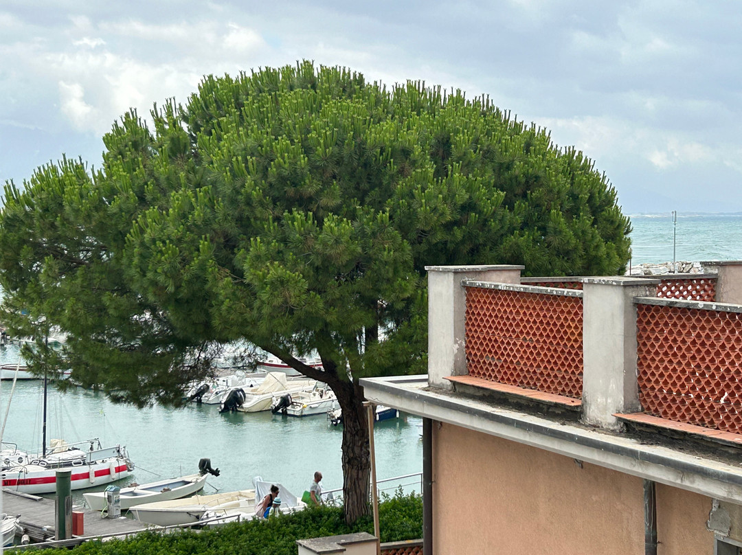 塞特阿尔基酒店主图