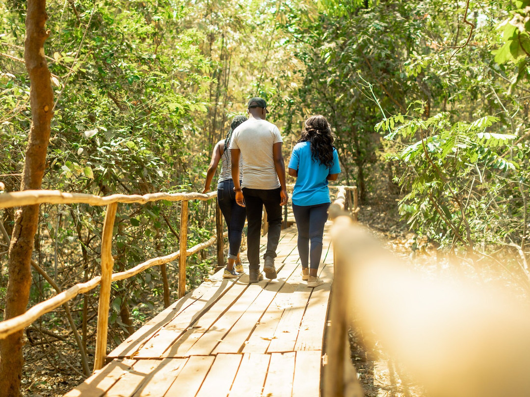 Lilongwe Wildlife Centre-里朗威必去景点