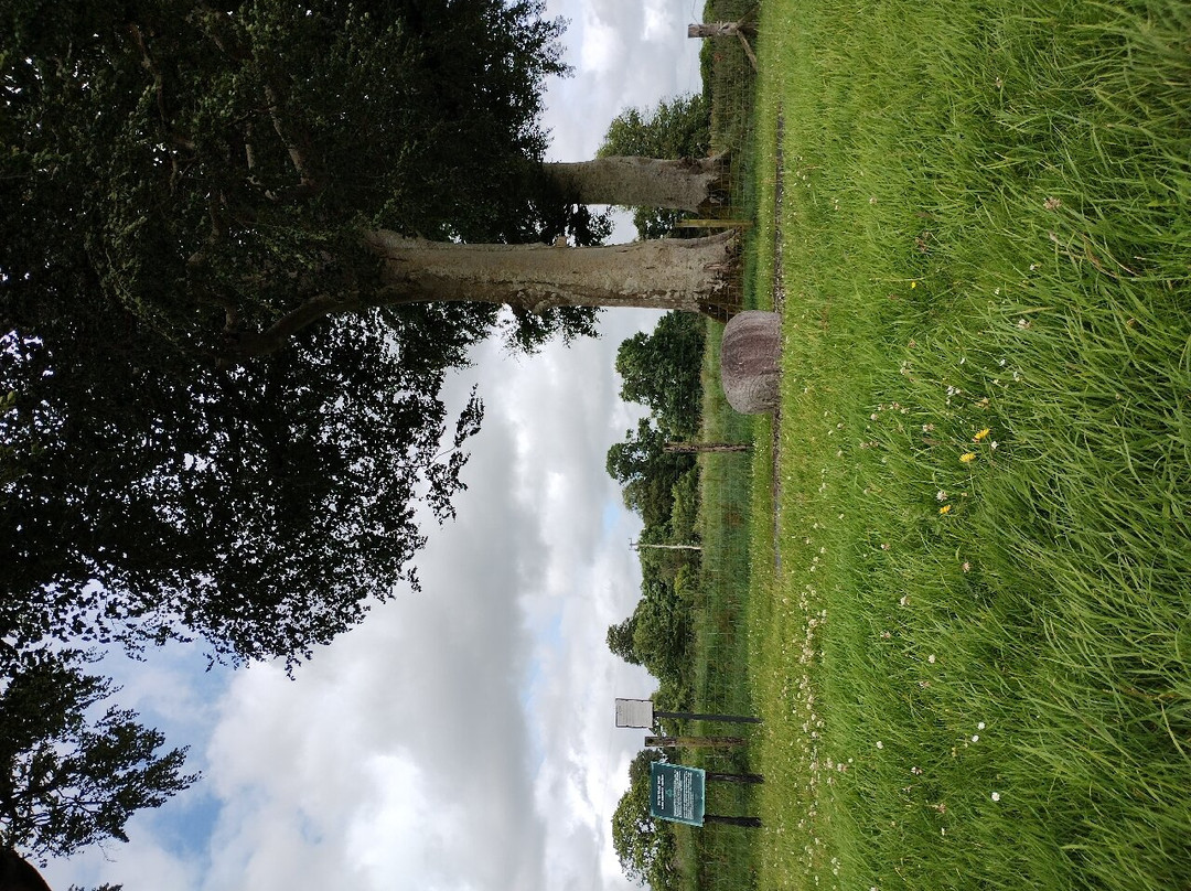 Castlestrange Scribed Stone-Boyle必去景点