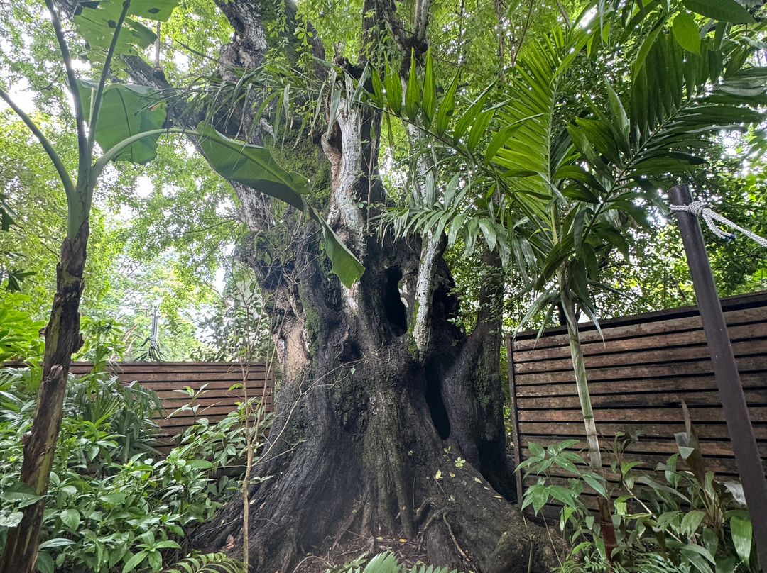 The Harmony Hotel主图