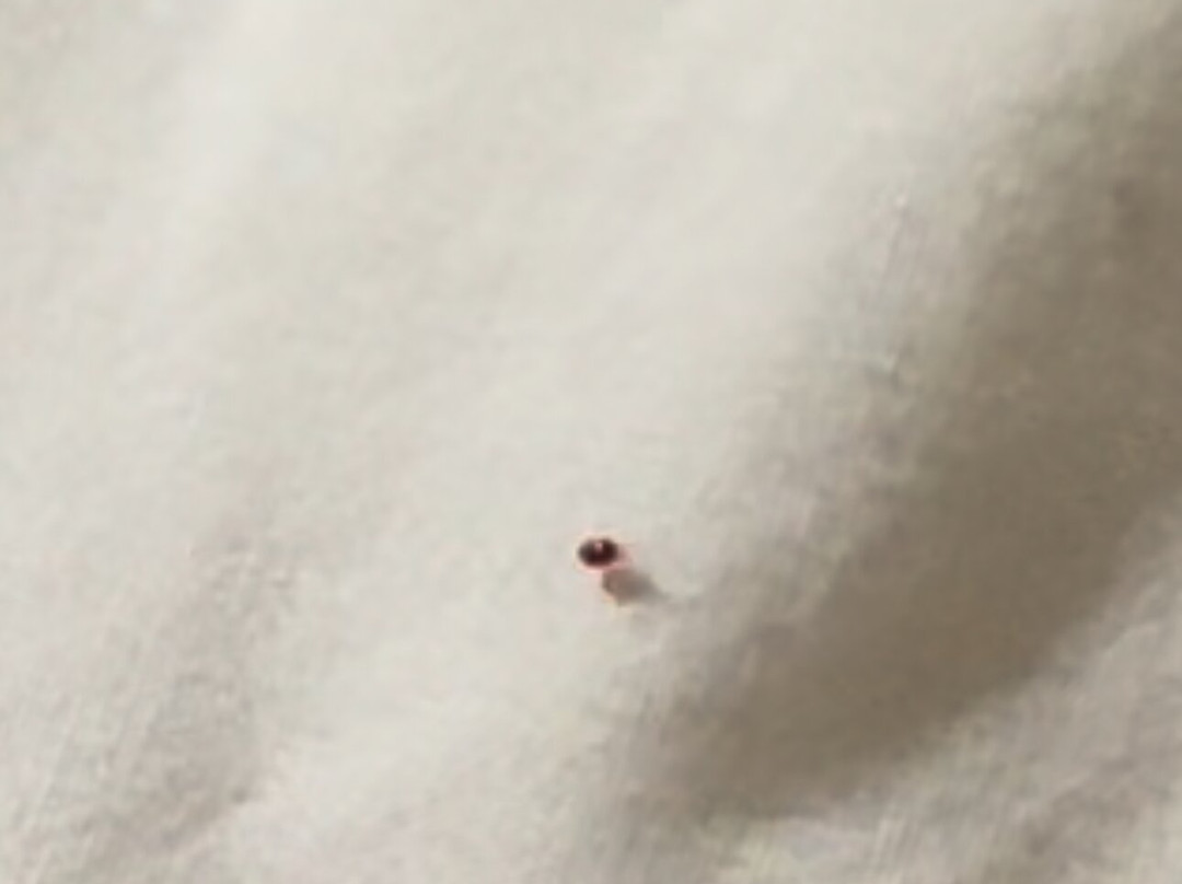 Red Roof Inn Kenly - I-95主图