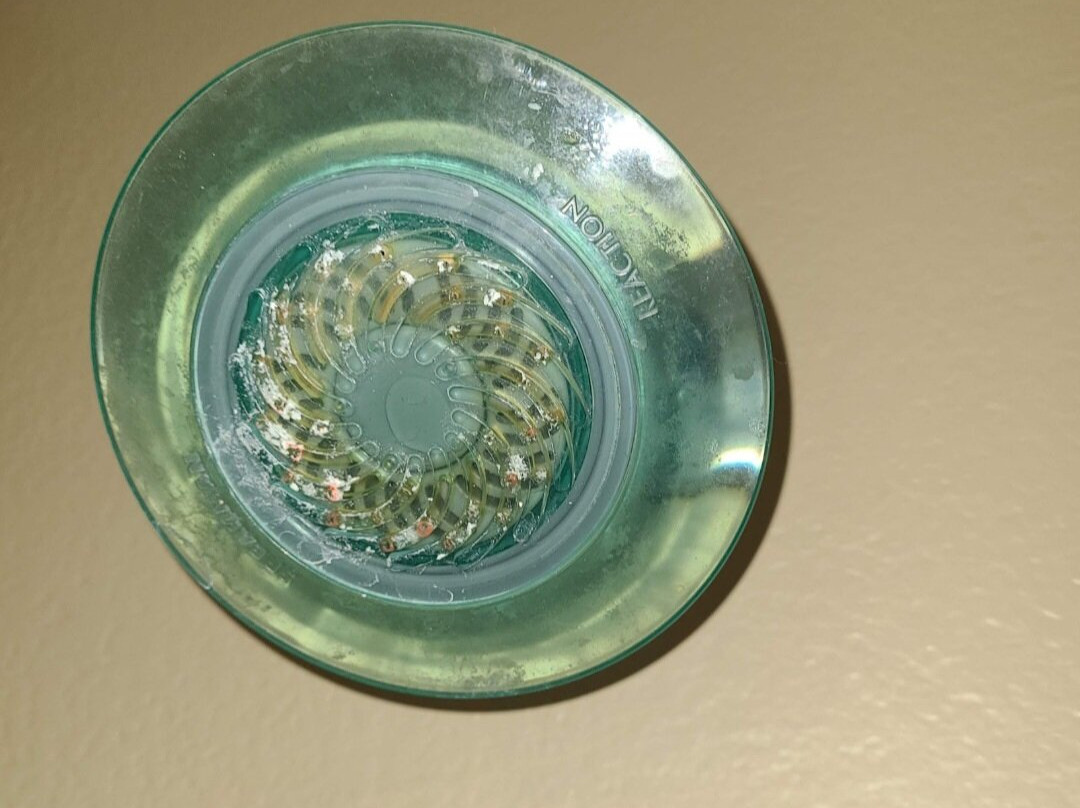 Microtel Inn & Suites By Wyndham Dover主图