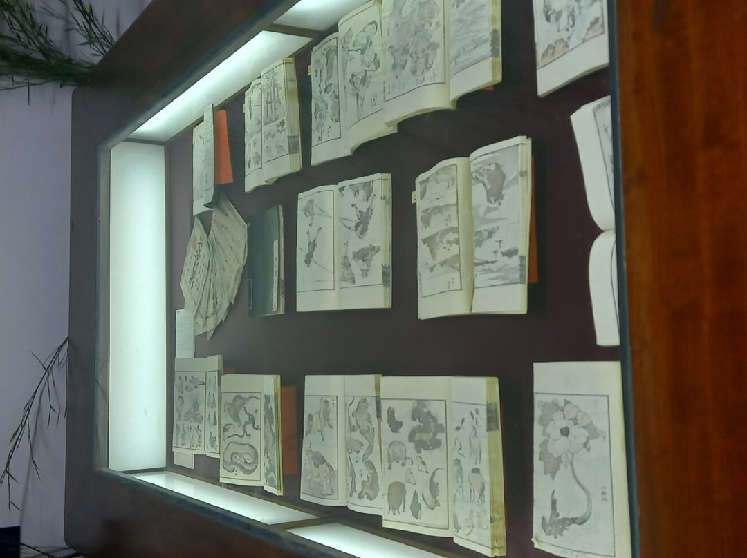 Museo d'Arte Orientale景点图片