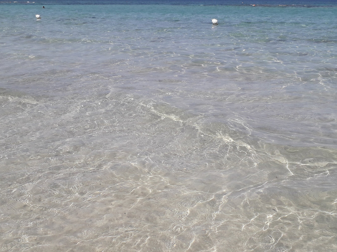 Lido Sol d'Oro-加里波利必去景点