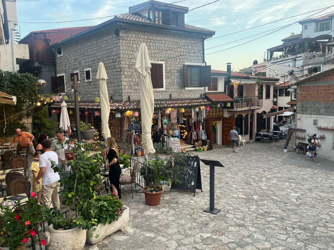 Iguana House