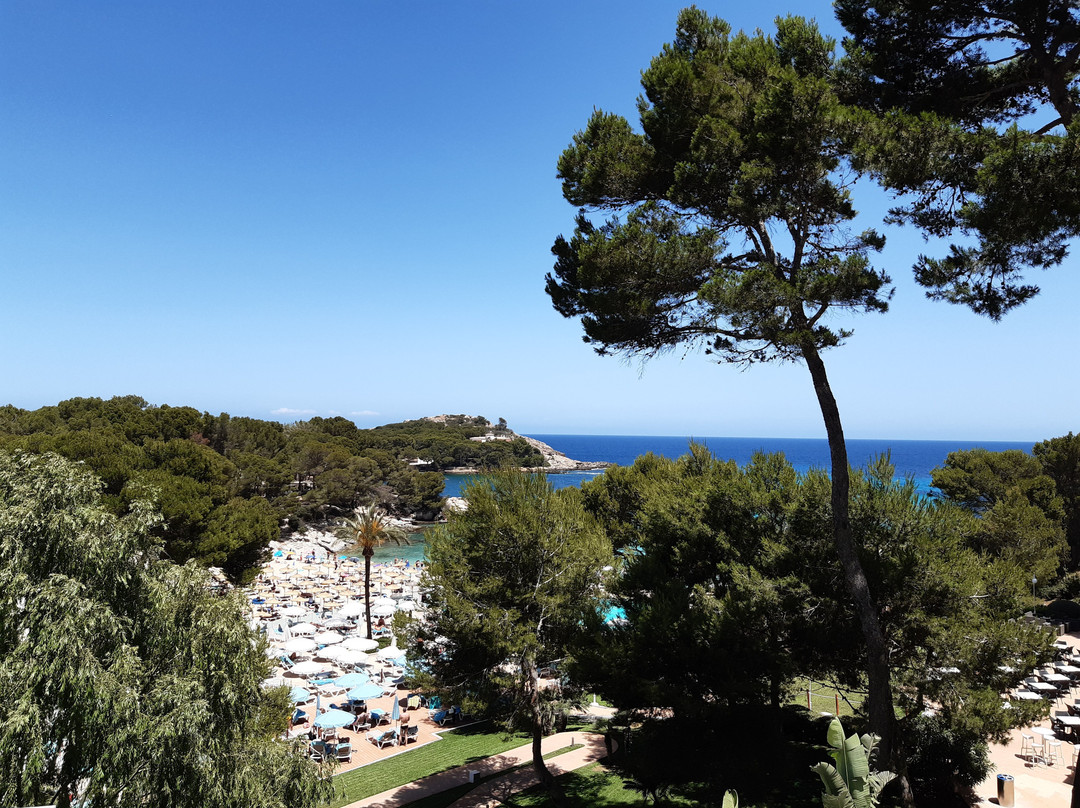 AluaSoul Carolina主图