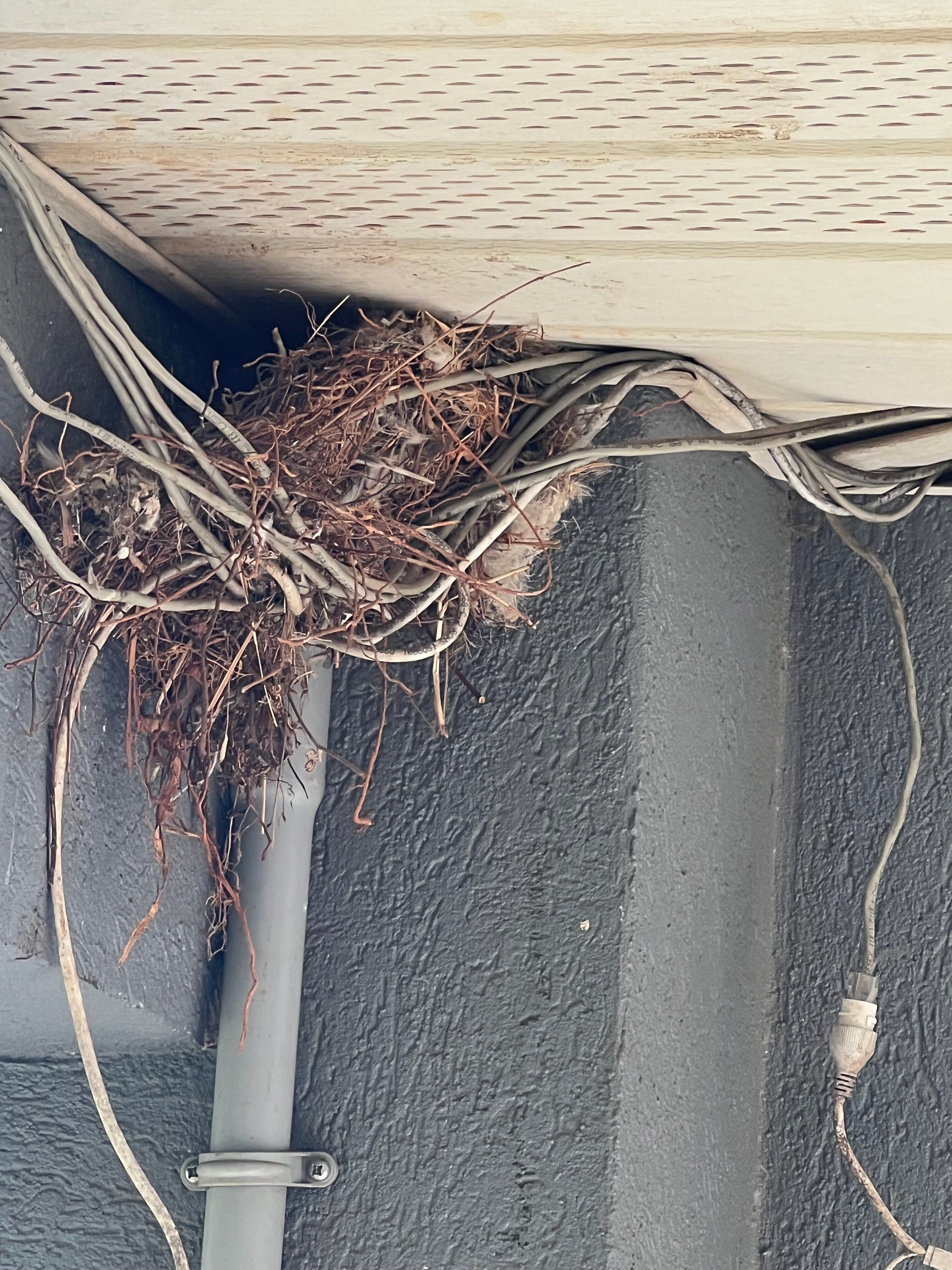 Comfort Inn Forsyth I-75-浴室